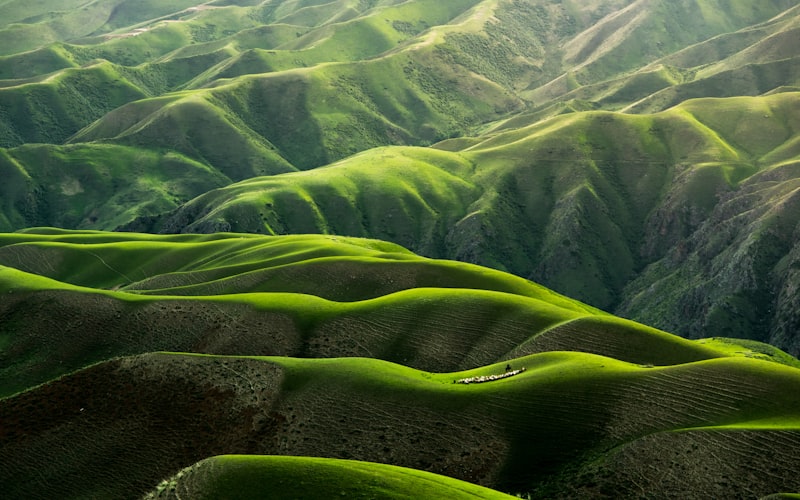 Green Certifications as a Student Recruitment Advantage